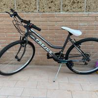 biciclette