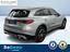 Immagine 7