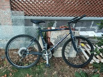 Bicicletta Bottecchia 