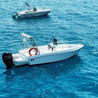 Natante 21 piedi Mercury Pro 40/70