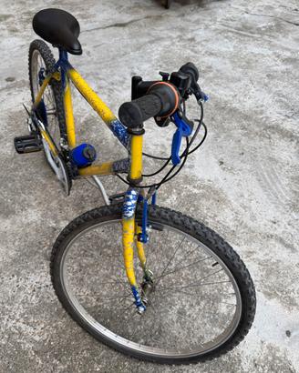 Mountain Bike Uomo/Ragazzo con cambio Shimano