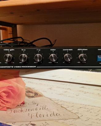 Video processor