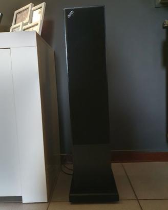 DIFFUSORI ACOUSTIC ENERGY-TORRI E CENTRALE