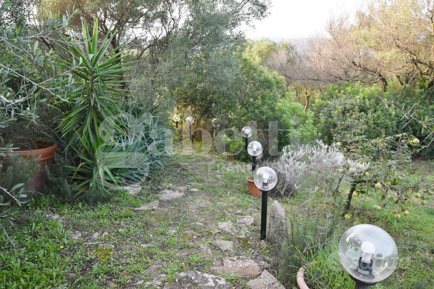 Rustico/Casale/Corte Olbia [Cod. rif 3185961VRG] - Altro