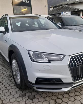 Audi A4 allroad 2.0 TDI Business Evolution