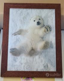 Quadro Ikea compreso di cornice