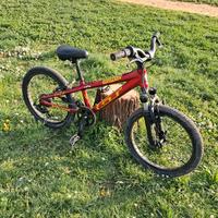 Bicicletta bambino GT 