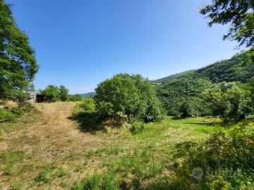 Terreno di 10000 m² a Chiusi della Verna