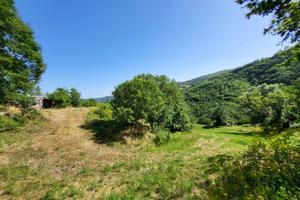 Terreno di 10000 m² a Chiusi della Verna