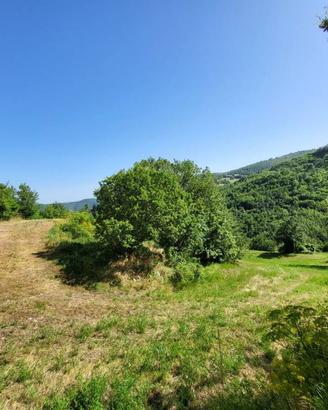 Terreno di 10000 m² a Chiusi della Verna