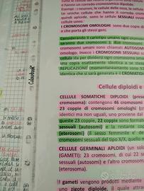 appunti universitari sc.motorie