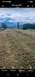 terreno agricolo a Capezzano 