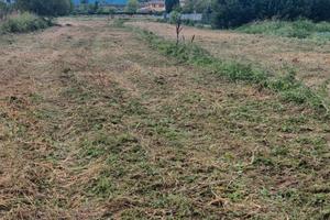 terreno agricolo a Capezzano 