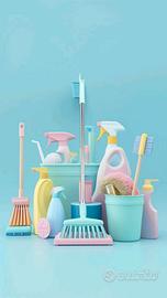 Pulizie domestiche e stiro