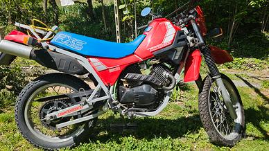 moto morini 501 camel