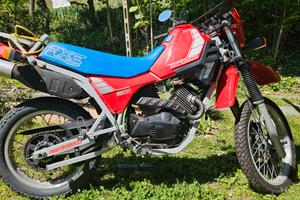 moto morini 501 camel