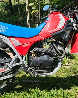 moto morini 501 camel