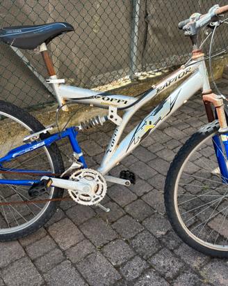 Bicicletta