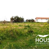 Belpasso - terreno agricolo id: pbe044t