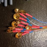 Elettrodi a dischetto in oro