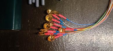 Elettrodi a dischetto in oro