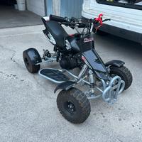 Mini Quad 50