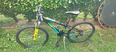 bici df mtb 