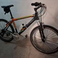 MTB Moser Colorado