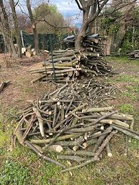 Legna da ardere  carpino