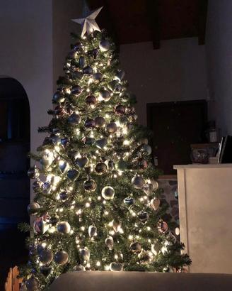 Albero di natale