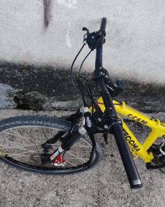 Bicicletta