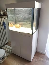 acquario Mirabello juwel 120 litri