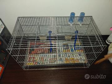 gabbia uccelli