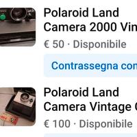 Polaroid vintage