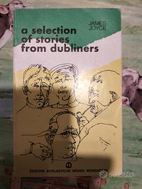 a selection of stories of dubliners