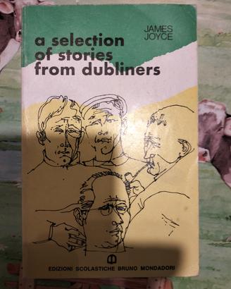 a selection of stories of dubliners
