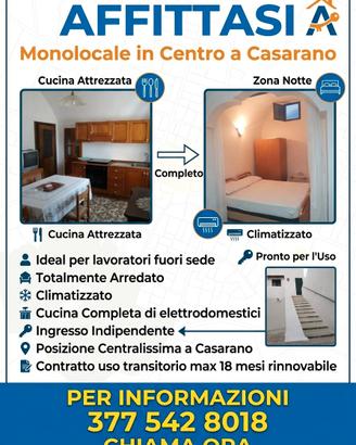 Monolocale arredato