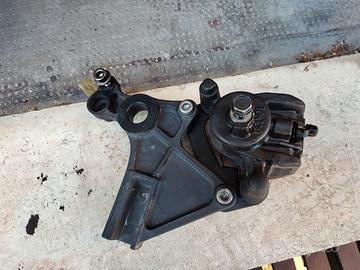 Pinza posteriore Toxico