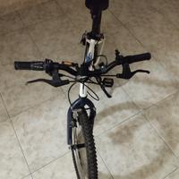  bicicletta e monopattino elettrico 