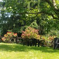 Vacanze in Valle di Gressoney
