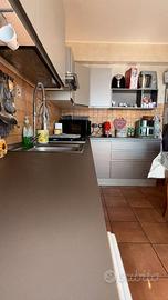 Cucina angolare moderna grigio/tortora