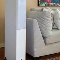 Totem Bison Twin Tower 