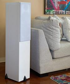 Totem Bison Twin Tower 