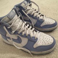 Nike Dunk High