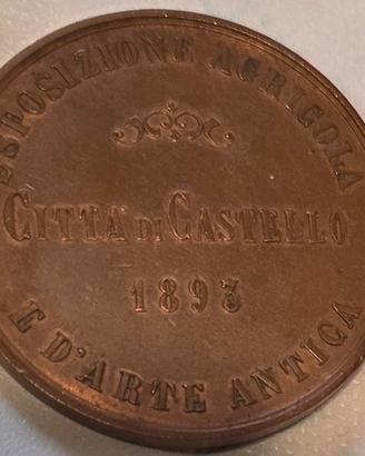 medaglia commemorativa 1893