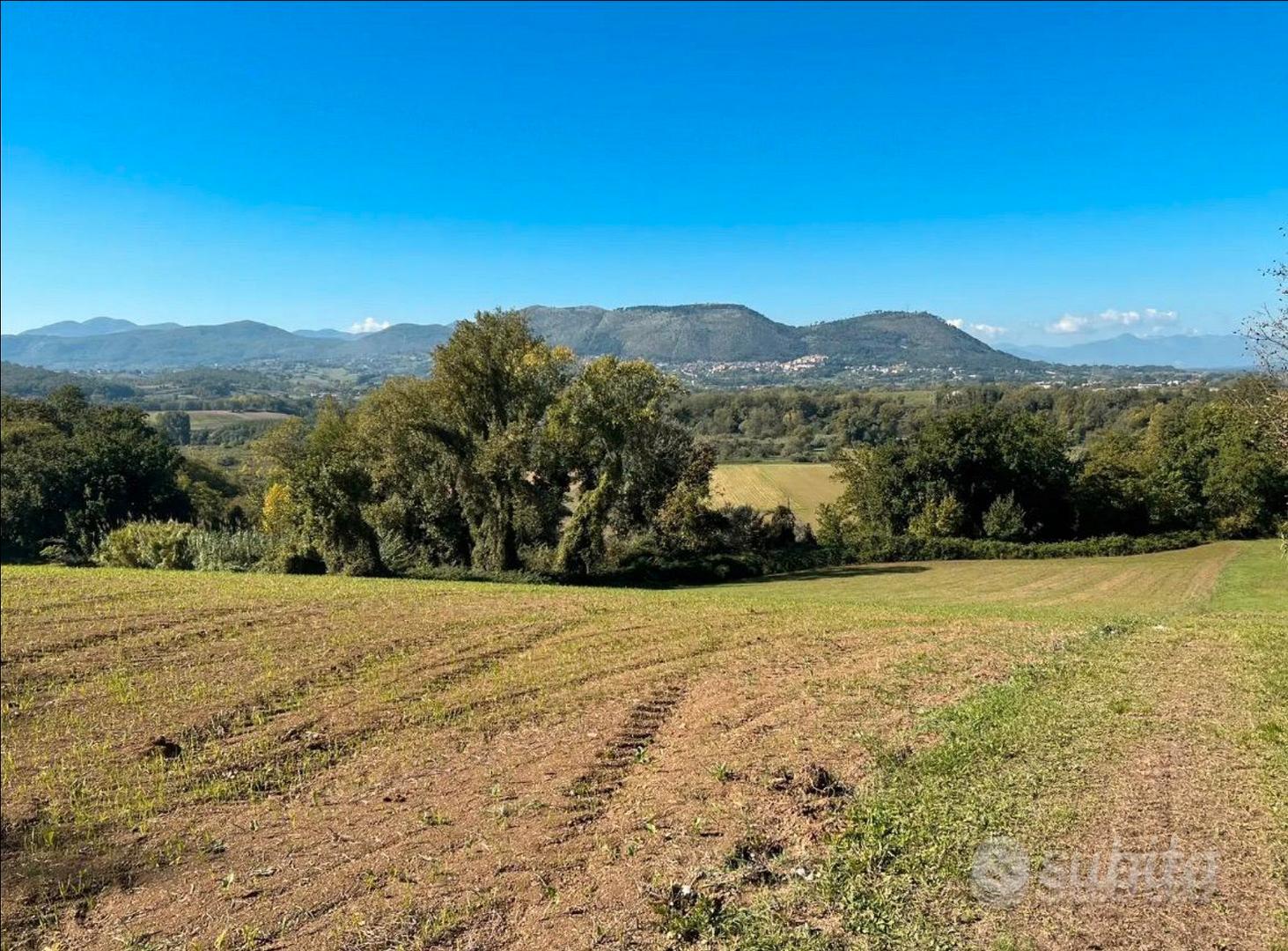 Terreno tre ettari - Vista 4