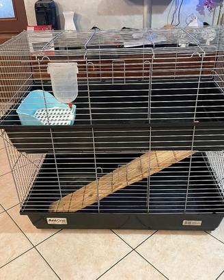 Gabbia coniglio nano o altri roditori 