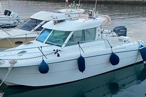 JEANNEAU MERRY FISHER 695 + 175hp FTP (2025)