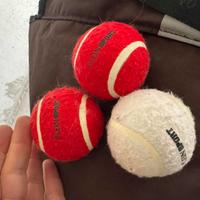 Palline da Tennis Sfilata Moda P. Plein