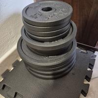 Dischi ghisa e manubri